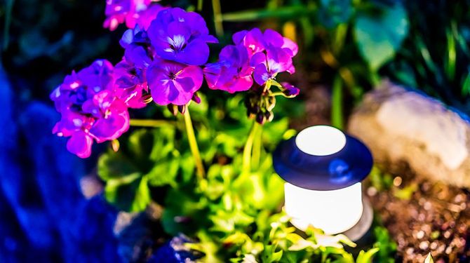 YardLightings.com is For Sale!